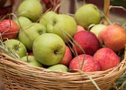 В 2022 году производство плодово-ягодной продукции в России достигло рекордных 1,5 млн тонн В 2022 году производство плодово-ягодной продукции в России достигло рекордных 1,5 млн тонн