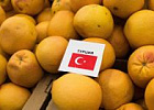Турецкие овощеводы в отчаянном положении Турецкие овощеводы в отчаянном положении