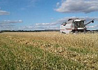 НСА: первые результаты уборочной - снижение урожайности в 10 из 14 регионов, начавших полевые работы НСА: первые результаты уборочной - снижение урожайности в 10 из 14 регионов, начавших полевые работы