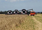 Кредитование сезонных полевых работ увеличилось на 25,1% Кредитование сезонных полевых работ увеличилось на 25,1%