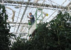 Правительство повысит компенсации затрат на строительство овощехранилищ Правительство повысит компенсации затрат на строительство овощехранилищ