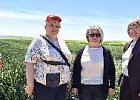 На Дне поля в ООО ОПХ «Луч» обсудили перспективы селекции зерновых и зернобобовых культур На Дне поля в ООО ОПХ «Луч» обсудили перспективы селекции зерновых и зернобобовых культур