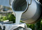 Минсельхоз России констатирует увеличение объемов производства молока на 3,3% Минсельхоз России констатирует увеличение объемов производства молока на 3,3%