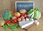 Доля органической продукции в структуре продовольствия в России составляет около 0,1% Доля органической продукции в структуре продовольствия в России составляет около 0,1%