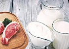 Минсельхоз ожидает увеличения экспорта мясной и молочной продукции в 2019 году на 73% Минсельхоз ожидает увеличения экспорта мясной и молочной продукции в 2019 году на 73%