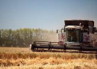 Аграрии Башкортостана движутся к финалу уборки по зерновым и зернобобовым Аграрии Башкортостана движутся к финалу уборки по зерновым и зернобобовым