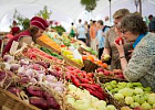 В Минпромторге считают нецелесообразным отдать 20% торговых мест в регионах фермерам В Минпромторге считают нецелесообразным отдать 20% торговых мест в регионах фермерам