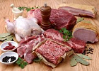 Россия и Иордания налаживают сотрудничество Россия и Иордания налаживают сотрудничество