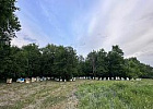 Пчеловоды ЛНР готовят пасеки к зиме Пчеловоды ЛНР готовят пасеки к зиме