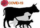 МЭБ высоко оценил работу Россельхознадзора по созданию вакцины против COVID-19 для животных МЭБ высоко оценил работу Россельхознадзора по созданию вакцины против COVID-19 для животных