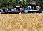 Итоги уборочной 2024 по зерну подвели в Забайкальском крае Итоги уборочной 2024 по зерну подвели в Забайкальском крае