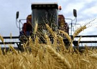 Аграрии сообщают о росте цен на топливо и его нехватку Аграрии сообщают о росте цен на топливо и его нехватку