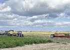 Морковный лидер Ивановской области выращивает овощи на орошении Морковный лидер Ивановской области выращивает овощи на орошении
