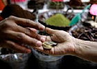 ФАО призвали решать вопросы деградации почв, недоедания и семейных ферм ФАО призвали решать вопросы деградации почв, недоедания и семейных ферм