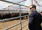 Д. Медведев потребовал от губернаторов немедленно довести субсидии до аграриев. Д. Медведев потребовал от губернаторов немедленно довести субсидии до аграриев.