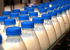 Цены на питьевое молоко в I квартале увеличились у промпроизводителей на 7,9%, в рознице – на 8,6% Цены на питьевое молоко в I квартале увеличились у промпроизводителей на 7,9%, в рознице – на 8,6%
