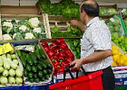 Через три года Россия намерена заместить около 16% импортных овощей Через три года Россия намерена заместить около 16% импортных овощей