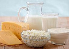 Эксперимент по маркировке молочной продукции в РФ начнется в ближайшее время - Минпромтор Эксперимент по маркировке молочной продукции в РФ начнется в ближайшее время - Минпромтор