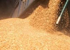 Минсельхоз РФ установил дополнительную квоту на экспорт зерна в 2023 году Минсельхоз РФ установил дополнительную квоту на экспорт зерна в 2023 году