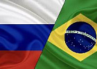 Россия и Бразилия обсудят начало поставок птицы Россия и Бразилия обсудят начало поставок птицы