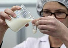 Доля фальсификата молочной продукции в России составляет 6% - Роспотребнадзор Доля фальсификата молочной продукции в России составляет 6% - Роспотребнадзор