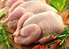 Россельхознадзор запретил поставки птицеводческой продукции с некоторых территорий ЕС Россельхознадзор запретил поставки птицеводческой продукции с некоторых территорий ЕС