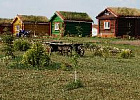 Стратегию развития сельских территорий обсудили на Неделе продовольственной безопасности форума АТЭС Стратегию развития сельских территорий обсудили на Неделе продовольственной безопасности форума АТЭС