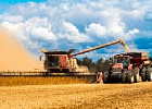 Россия может потерять до 8% рекордного урожая. Россия может потерять до 8% рекордного урожая.