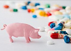 Российский рынок ветеринарных препаратов вырос до 36,5 млрд рублей Российский рынок ветеринарных препаратов вырос до 36,5 млрд рублей