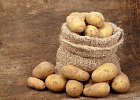 До 150 тонн картофеля российской селекции смогут вырастить все желающие в рамках фестиваля КартофельFest