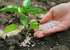 Минпромторг обсуждает продление фиксации цен на минеральные удобрения Минпромторг обсуждает продление фиксации цен на минеральные удобрения