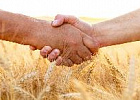 Минимальное число граждан для создания сельхозкооперативов предлагают снизить Минимальное число граждан для создания сельхозкооперативов предлагают снизить