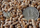 Регионы довели до аграриев 51,8% федеральных субсидий Регионы довели до аграриев 51,8% федеральных субсидий