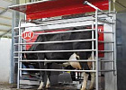Два робота Lely Astronaut A4™ дождались первых коров Два робота Lely Astronaut A4™ дождались первых коров
