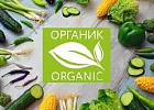 В России собрано порядка 2,5 млн тонн овощей в организованном секторе В России собрано порядка 2,5 млн тонн овощей в организованном секторе