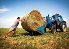 Регионы довели до аграриев 49,4% федеральных субсидий Регионы довели до аграриев 49,4% федеральных субсидий