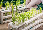 Разработан проект научно-технического развития АПК России до 2025 года Разработан проект научно-технического развития АПК России до 2025 года