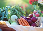 Органические продукты вошли в ТОП-10 мировых потребительских трендов Органические продукты вошли в ТОП-10 мировых потребительских трендов