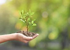 На программу РФ по климату до 2030 года могут направить около 34 млрд рублей На программу РФ по климату до 2030 года могут направить около 34 млрд рублей