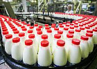 Объём реализации молока в сельхорганизациях вырос на 5,6% Объём реализации молока в сельхорганизациях вырос на 5,6%