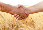 Свыше 1,2 млрд рублей будет направлено в 2025 году на поддержку сельскохозяйственной отрасли Кузбасса Свыше 1,2 млрд рублей будет направлено в 2025 году на поддержку сельскохозяйственной отрасли Кузбасса