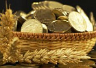 Регионы довели до аграриев 58,8% федеральных субсидий Регионы довели до аграриев 58,8% федеральных субсидий