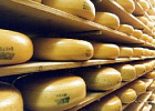 Минсельхоз: производство сыров и сырных продуктов в январе-феврале выросло на 32,9% Минсельхоз: производство сыров и сырных продуктов в январе-феврале выросло на 32,9%