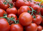 Урожай тепличных овощей на 36,3% больше, чем в прошлом году