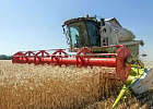 Российские аграрии намолотили 27,5 млн тонн зерна Российские аграрии намолотили 27,5 млн тонн зерна