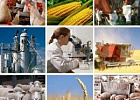 С 2018 года Госпрограмма развития сельского хозяйства переводится на проектное управление С 2018 года Госпрограмма развития сельского хозяйства переводится на проектное управление