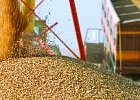 Минсельхоз планирует использовать механизм экспортной квоты на зерно в дальнейшем Минсельхоз планирует использовать механизм экспортной квоты на зерно в дальнейшем