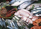 Россия должна стать одним из мировых лидеров по производству рыбной продукции Россия должна стать одним из мировых лидеров по производству рыбной продукции