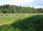 Правительство России установило критерии отнесения территорий к неблагоприятным для производства сельхозпродукции Правительство России установило критерии отнесения территорий к неблагоприятным для производства сельхозпродукции