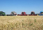 Росагролизинг увеличил на 67% финансирование на закупку сельхозтехники для аграриев Росагролизинг увеличил на 67% финансирование на закупку сельхозтехники для аграриев